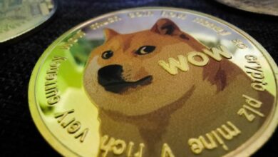 دوجكوين (DOGE) يستهدف سعر $0.150: هل سينطلق الارتفاع؟ اكتشف التفاصيل الآن!