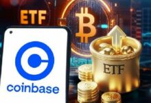 مؤشر بريميوم كوين بيس سلبي رغم ارتفاع تدفقات ETF - اكتشف التفاصيل!