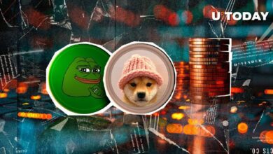 أفضل العملات الرقمية الساخرة WIF، PEPE تتعرض للهبوط، لكن هذا الخبير متفائل - اكتشف السبب!