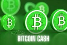 بيتكوين كاش (BCH) ترتفع بنسبة 20٪: هل يستمر الزخم؟ اكتشف الآن!