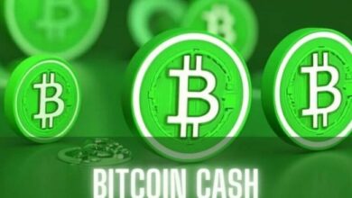 بيتكوين كاش (BCH) ترتفع بنسبة 20٪: هل يستمر الزخم؟ اكتشف الآن!