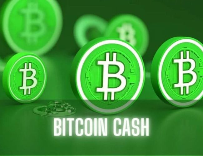 بيتكوين كاش (BCH) ترتفع بنسبة 20٪: هل يستمر الزخم؟ اكتشف الآن!