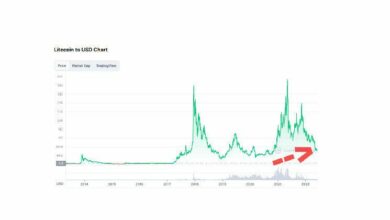 ارتفاع مؤشرات لايتكوين إلى أعلى مستوياتها الشهرية مع تجاوز سعر LTC حاجز 70 دولار - اكتشف الأسباب الآن!