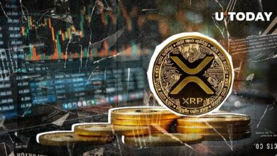 تفريغ 28 مليون XRP يُذهل مجتمع ريبل