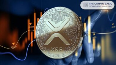 السبب الوحيد لارتفاع سعر XRP - اكتشف التفاصيل!