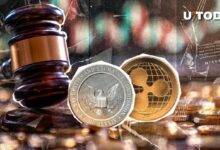 ريبل ضد هيئة SEC: مستقبل XRP لا يزال غامضاً على المستوى المحلي، محامي يؤكد التفاصيل!