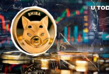 سعر شيبا إينو (SHIB) قد يكسر حاجز الصفر إذا استمر هذا الاتجاه - اكتشف التفاصيل!