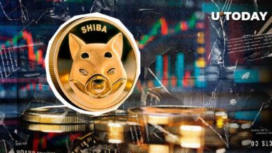 سعر شيبا إينو (SHIB) قد يكسر حاجز الصفر إذا استمر هذا الاتجاه - اكتشف التفاصيل!