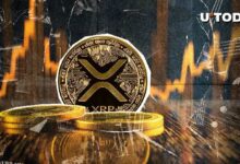 60 مليون XRP تم إرسالها إلى أفضل منصات التداول، اكتشف ما حدث!