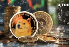 هل دوجكوين (DOGE) مبالغ فيها؟ اكتشف الأسباب الآن