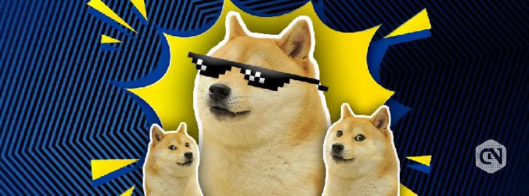 ارتفاع DOGE بنسبة 16٪: العبور الذهبي وحماس المشاهير يشعلان السباق - اكتشف التفاصيل الآن!