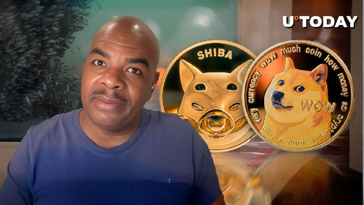 العملات الميمية (DOGE, SHIB) ستصل إلى قيمة سوقية تريليون دولار في هذه الدورة: اكتشف رؤية جيرمي دافينشي