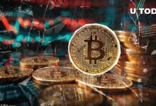 لا بيتكوين (BTC) متبقي؟ احتياطيات البورصات تسجل أدنى مستوى جديد في ظل انتعاش السوق - اكتشف المزيد الآن!