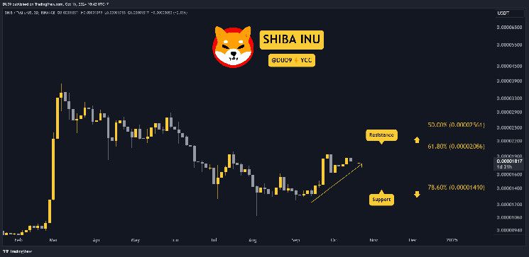 توقعات سعر شيبا إينو (SHIB) لهذا الأسبوع: اكتشف الفرص المحتملة!