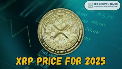 خبير يتوقع سعر XRP لعام 2025 إذا وصل سولانا إلى $600 - اكتشف التفاصيل الآن!