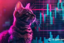 ارتفاع رموز Popcat وMEW بينما يتفوق حجم تداول DEX على سولانا على إيثريوم - اكتشف التفاصيل الآن!