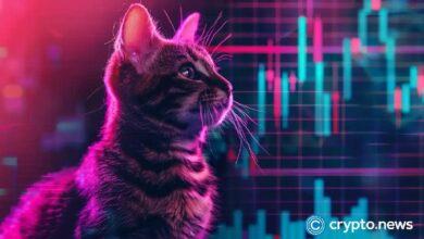 ارتفاع رموز Popcat وMEW بينما يتفوق حجم تداول DEX على سولانا على إيثريوم - اكتشف التفاصيل الآن!