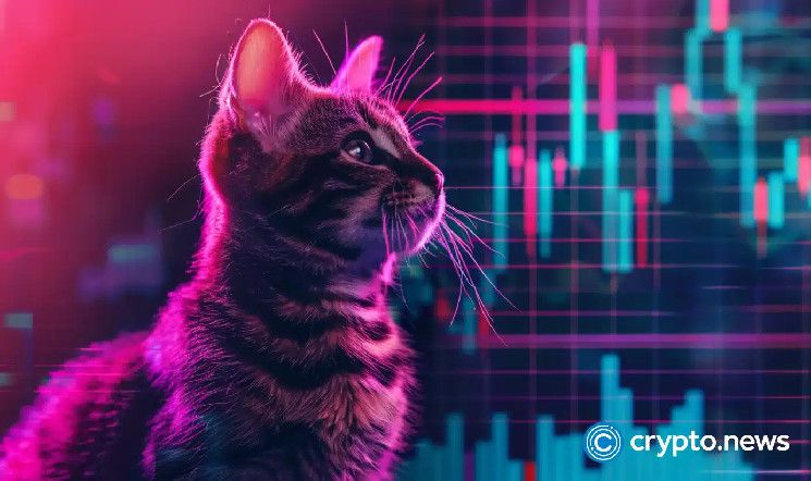 ارتفاع رموز Popcat وMEW بينما يتفوق حجم تداول DEX على سولانا على إيثريوم - اكتشف التفاصيل الآن!