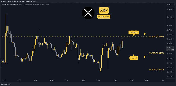 ريبل بعد الانهيار: ما التالي لسعر XRP؟ اكتشف الآن!