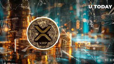 ارتفاع حجم تداول XRP بقيمة 85 مليون دولار: هل هناك حدث قادم؟ اضغط لمعرفة المزيد!