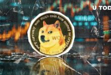 دوجكوين (DOGE) يفاجئ المتشائمين بعدم توازن تصفية بنسبة 375٪- اكتشف المزيد!