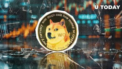 دوجكوين (DOGE) يفاجئ المتشائمين بعدم توازن تصفية بنسبة 375٪- اكتشف المزيد!