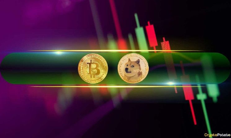 ارتفاع دوجكوين (DOGE) بنسبة 8% يومياً، وبيتكوين (BTC) تتجه نحو 68 ألف دولار - اطلع على تفاصيل السوق الآن!