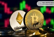 تحليل: Ethereum يصل إلى أدنى مستوياته منذ 3 سنوات مقابل بيتكوين - هل تصمد دعم 0.035 BTC؟ اكتشف الآن!