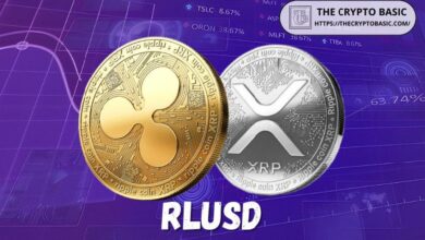 مُحقق XRPL: عملة RLUSD لن تأخذ XRP إلى ١٠٠٠ دولار - اكتشف التفاصيل