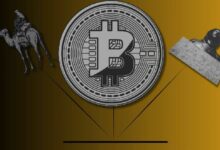 بيع طريق الحرير بـ 4.4 مليار دولار وهوية ساتوشي — لماذا لا تهم أياً من هؤلاء إلى عشاق Bitcoin Cash؟ اكتشف المزيد الآن!