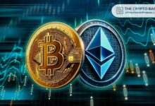 خبير: احتمال ضعف الإيثيريوم في الربع الرابع ولكن التعافي في 2025 مع اقتراب ETH/BTC من القاع - تابع الآن!