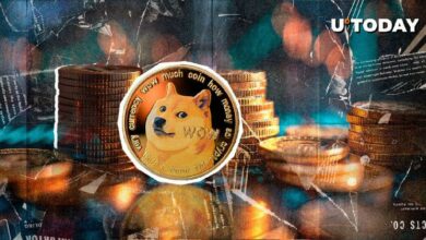 متداولي دوجكوين (DOGE) يواجهون ضربة مفاجئة - اكتشف التفاصيل الآن!