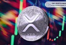 تنبوء مسؤول سابق في ريبل بزمن انطلاق XRP وإطلاق ETF: اكتشف التفاصيل!