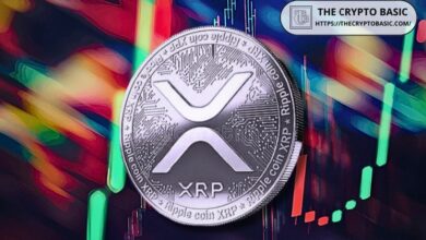 تنبوء مسؤول سابق في ريبل بزمن انطلاق XRP وإطلاق ETF: اكتشف التفاصيل!