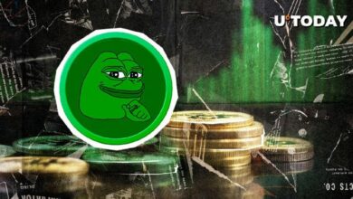 حجم PEPE يتضاعف بنسبة 51%، اكتشف التفاصيل!