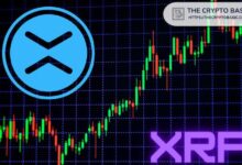 خبير: قد لا تصل XRP لهذا السعر المنخفض مرة أخرى – اكتشف الأسباب الآن