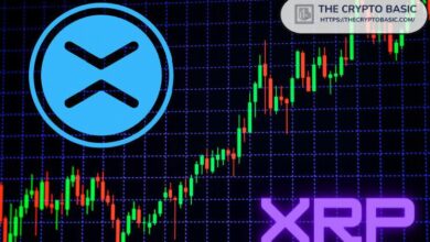 خبير: قد لا تصل XRP لهذا السعر المنخفض مرة أخرى – اكتشف الأسباب الآن