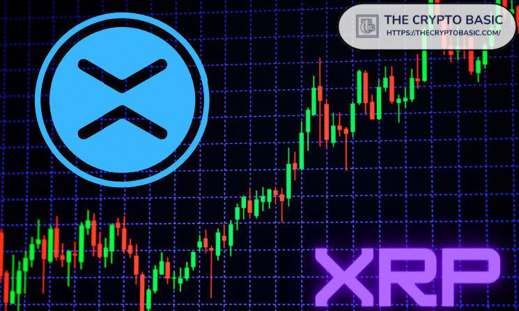 خبير: قد لا تصل XRP لهذا السعر المنخفض مرة أخرى – اكتشف الأسباب الآن