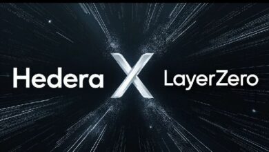 اندمجت هيديرا مع LayerZero بالتزامن مع إصدار Mainnet v0.54 - اكتشف التفاصيل الآن!