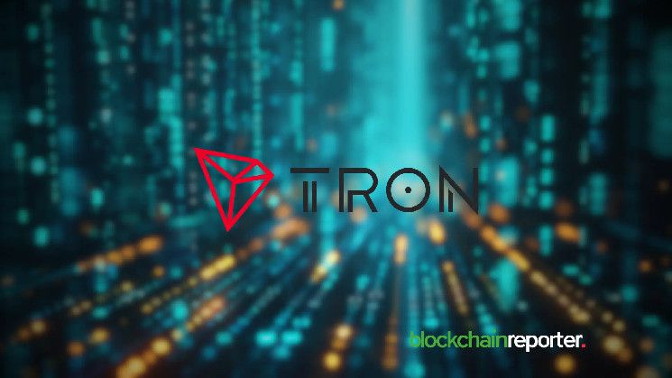 شبكة TRON تشهد نموًا سريعًا مع 10 ملايين مستخدم شهريًا في 2024 - اكتشف المزيد!