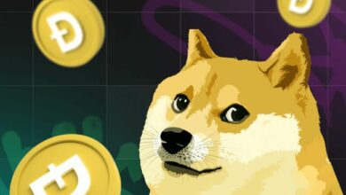 دوجكوين (DOGE) مستعدة لارتفاع جديد: هل يستطيع المضاربون تحقيق المزيد؟ اكتشف الآن!