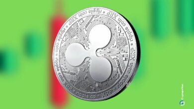 بينانس تتصدر كأفضل منصة لتداول حيتان عملة XRP من ريبل