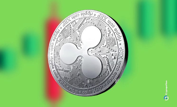 بينانس تتصدر كأفضل منصة لتداول حيتان عملة XRP من ريبل