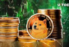 سعر دوجكوين (DOGE) يرتفع بعد تحويل غامض بقيمة 78.68 مليون دولار - اكتشف التفاصيل!