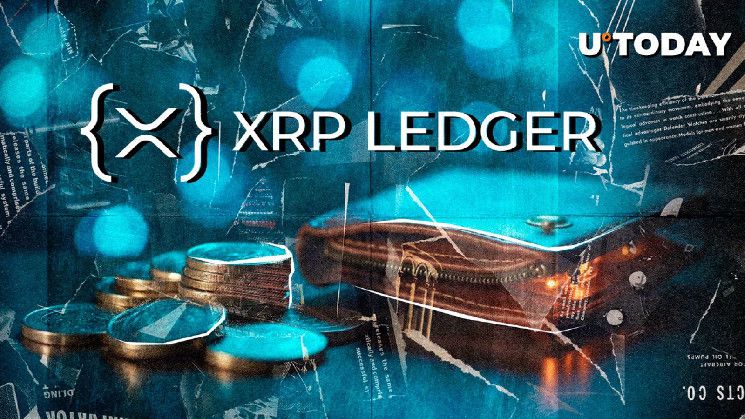 محفظة XRPL Xaman تحقق ارتفاعًا شهريًا كبيرًا وتحقق إنجازًا مهمًا للمستخدمين - اكتشف التفاصيل!