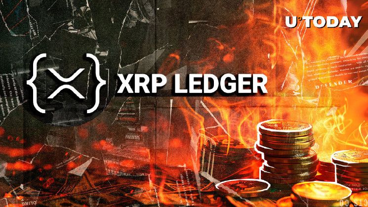 خطأ كبير: مستخدم XRP ليدجر يحرق 10,000 توكن عن طريق الخطأ - تعرف على التفاصيل!