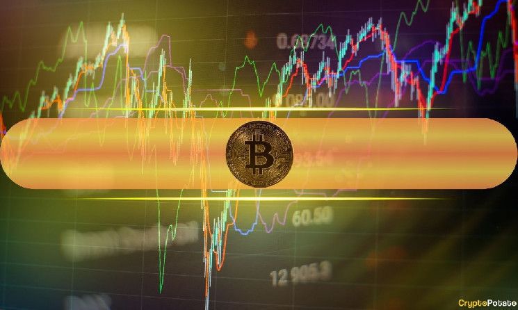 توقعات بتقلبات ضخمة في سعر البيتكوين مع اقتراب الانتخابات الرئاسية الأمريكية: استعد للمفاجآت مع بيتفينيكس!