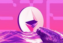 سعر إيثريوم (ETH) يرتفع مع خروج 361,000 ETH من البورصات - اكتشف التفاصيل الآن!