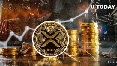 عملة XRP تقفز بنسبة 125,127% خلال 24 ساعة بسبب عدم توازن غير طبيعي في التصفية - تعرف على التفاصيل الآن!