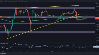 تحليل سعر ريبل: هل من الممكن تحقيق ارتفاع كبير في سعر XRP أعلى من $0.6؟